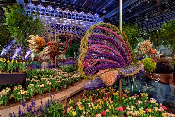 Image result for Philadelphia Flower Show 2019