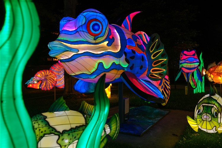 Chinese Lantern Festival With Magic Garden, PA