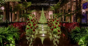 Christmas At Longwood Gardens - Kennett Square, PA