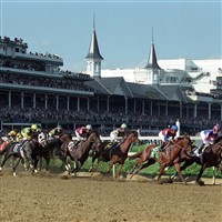 Kentucky Bourbon, Horses & More  