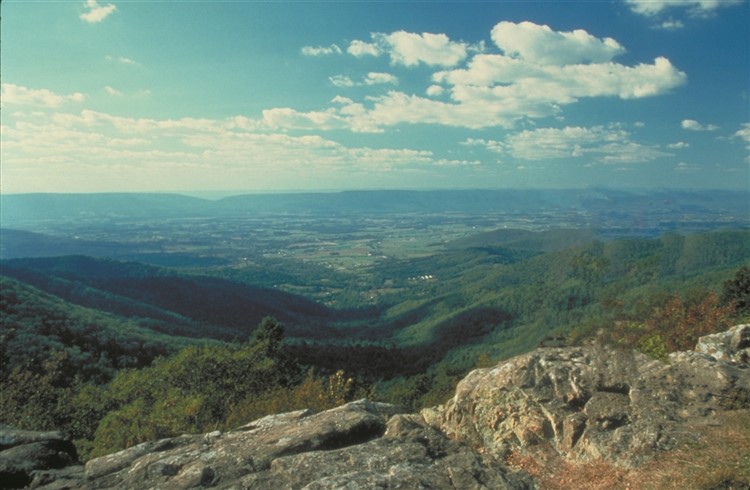 Shenandoah Valley: Scenery, Sip & History 