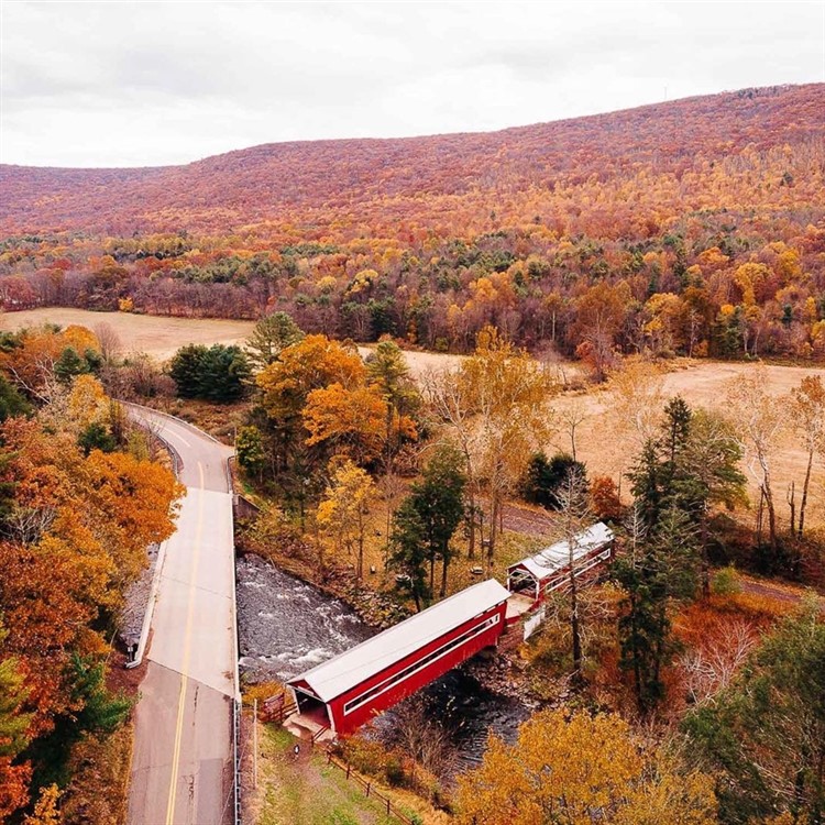 Covered Bridge & Art Festival With Tour, PA 