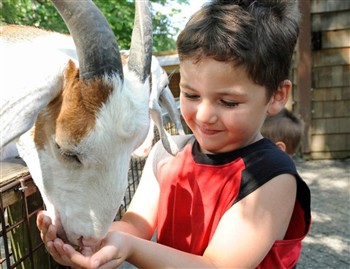 The Bronx Zoo - Total Experience Package New York