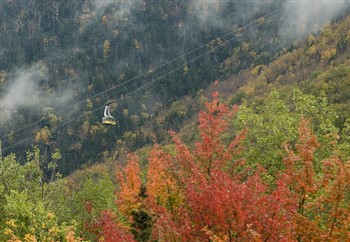 New England Leaves And Locomotives