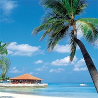 New Multi- Day Tours for 2025 - 2026