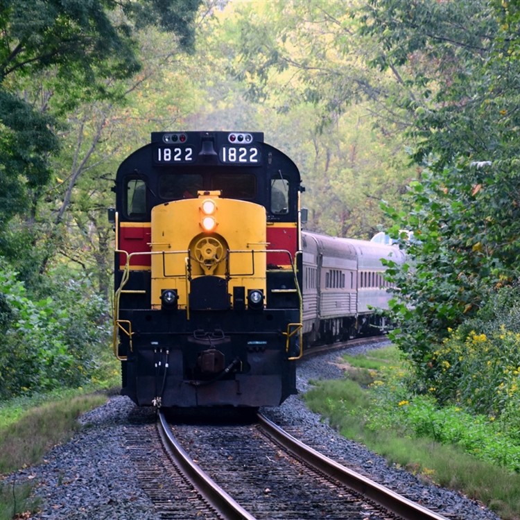 Calling All Train Lovers...Hit The Ohio Rails 2023