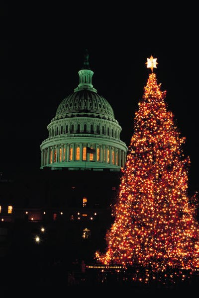 Christmas In Washington DC-Moonlight Monument Tour
