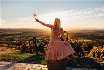 Loudoun's Heritage Harvest-Dodona, Fair & Vineyard