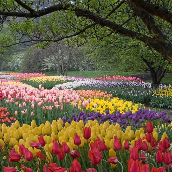 Longwood Gardens & Chaddsford Winery