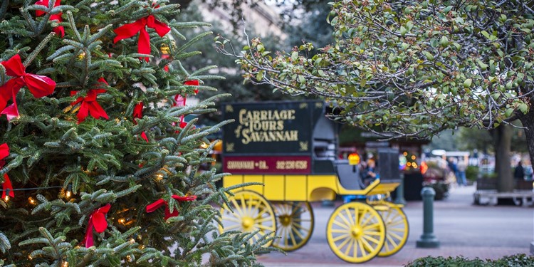 Christmas Time In Savannah, GA