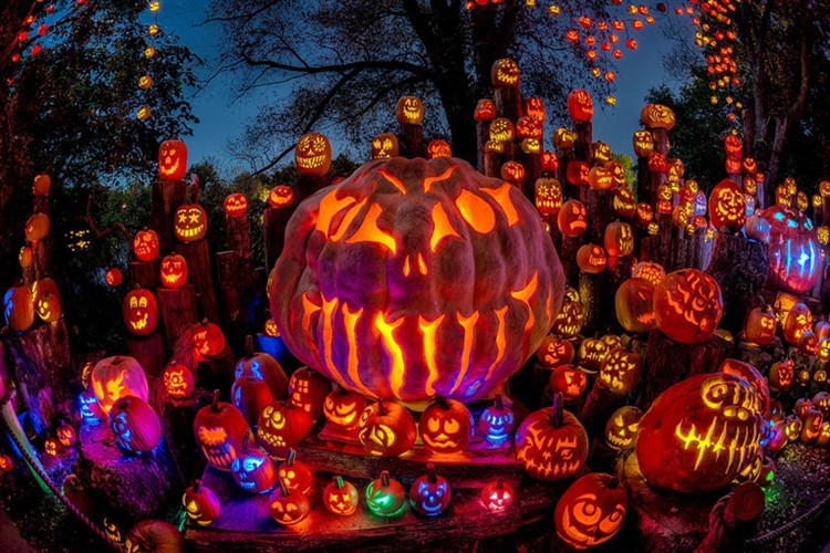 Jack O' Lantern Spectacular With Salem & Much More