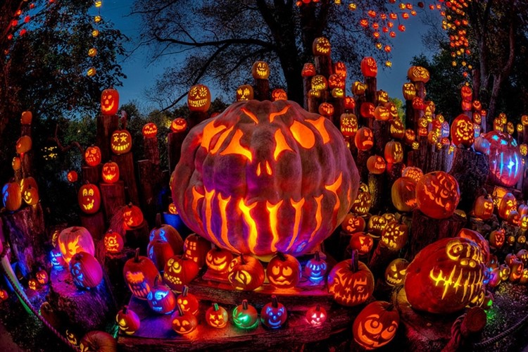 Jack O' Lantern Spectacular With Salem & More