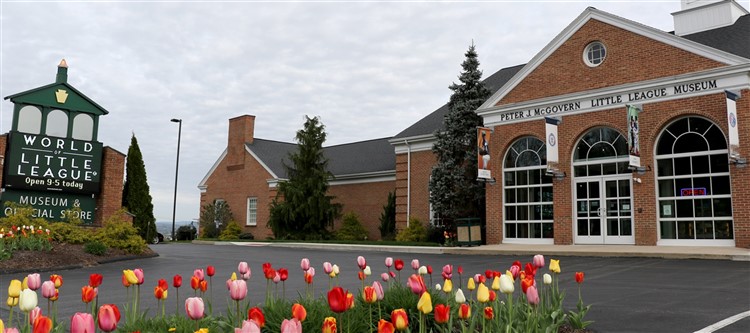 Williamsport Planes, Baseball and Hiawatha Cruise