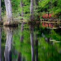 Plantations of Charleston, SC - 2023
