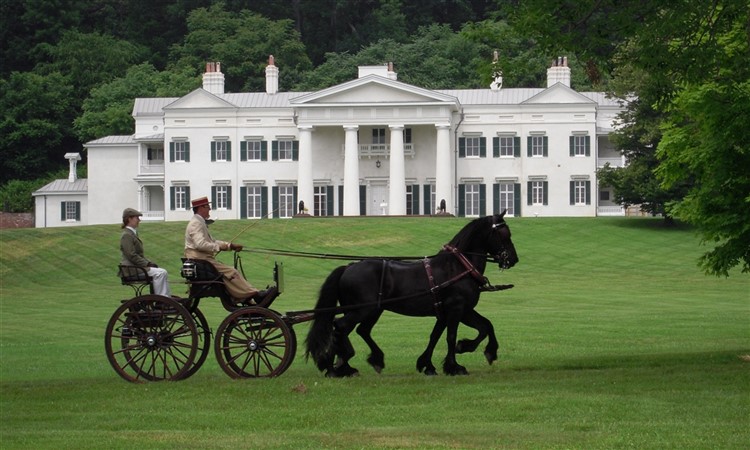 Taste of Virginia Wine & More 2023