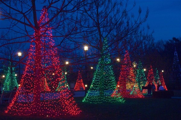 Chrstmas At Longwood Gardens, PA