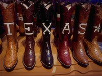 Miles And Miles of Texas