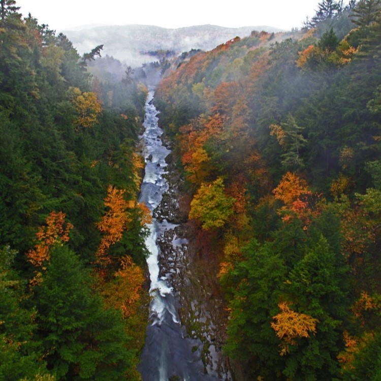 Fall Foliage In Vermont At Lake Morey Resort