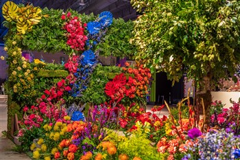 Philadelphia Flower Show, PA