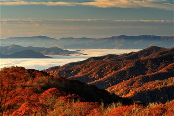 Fall Foliage In the Smoky Mountains, TN