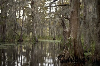 Voodoo & Vettes of The Deep South - New Orleans