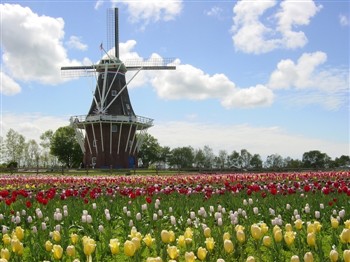 A Tulip Time Adventure In Holland Michigan