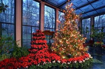 Brandywine Christmas At Nemours & Winterthur